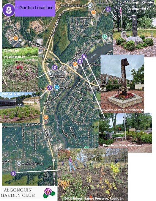 Map to the Algonquin Garden Club gardens and mini forest.